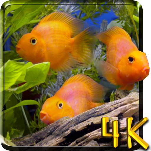 Aquarium 4K Live Wallpaper 2.0