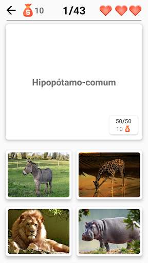 Mamíferos -Aprenda todos os animais no Photo-Quiz! screenshot 4