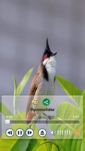 Birds Calls Sounds - Relaxing स्क्रीनशॉट 3