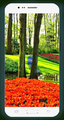 Garden Wallpaper HD screenshot 14