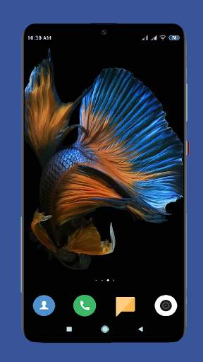 Betta Fish Wallpaper HD screenshot 16