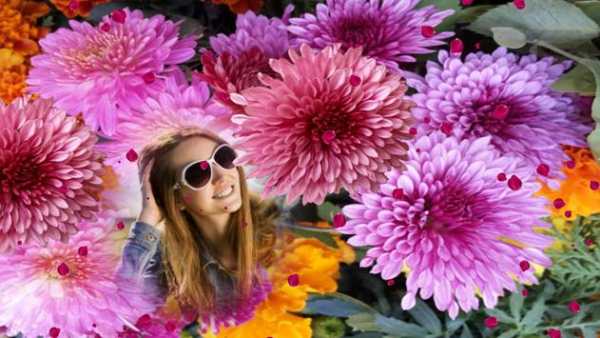 HD Photo Frames - Flowers screenshot 3