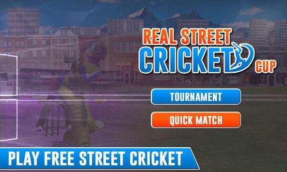Real Street Cricket Cup 2017 screenshot 1