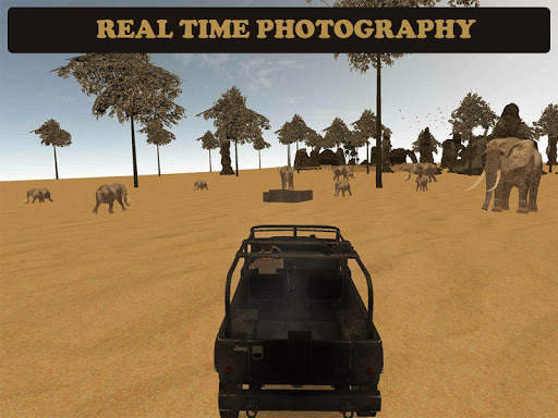 Desert Animal Photography screenshot 5