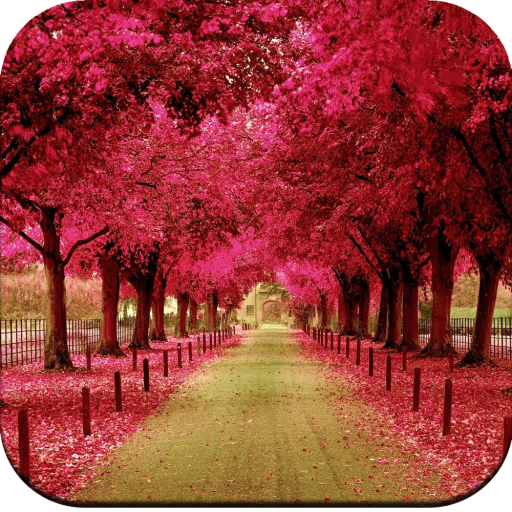 Beautiful Spring Wallpaper icon