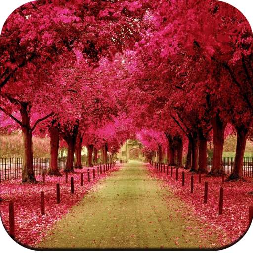 Beautiful Spring Wallpaper 1.07