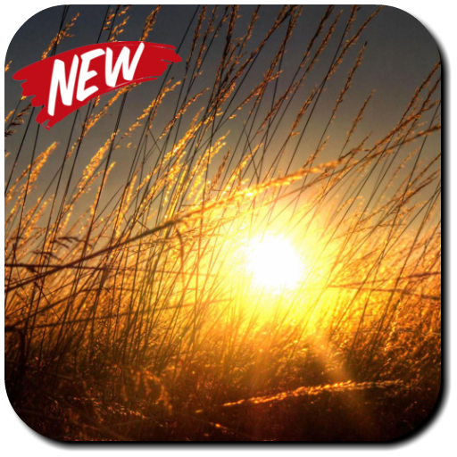 Sun Wallpapers أيقونة
