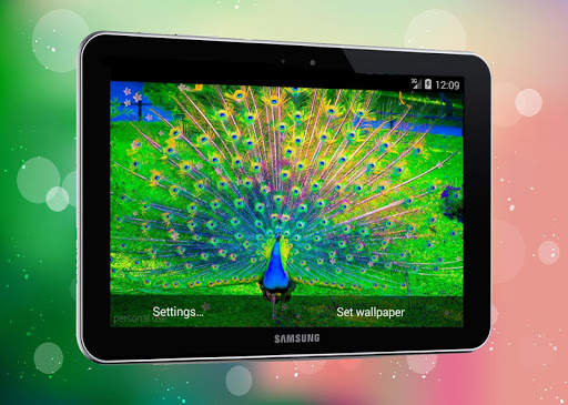 New Peacock Live Wallpaper screenshot 7