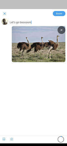 Ostrich Social - Connect with the world! screenshot 1