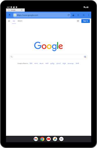 Incognito Browser screenshot 9