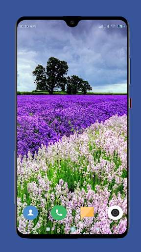 Beautiful Spring Wallpaper  4K screenshot 8