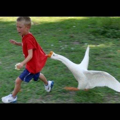 Best Funny Videos for WhatsApp screenshot 4