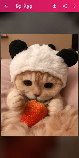 DP : Profile Pics for WhatsApp screenshot 15