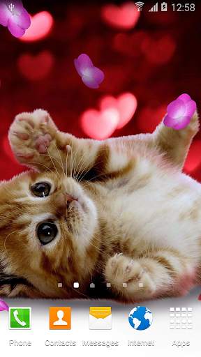 Animals Cute Live Wallpaper screenshot 1
