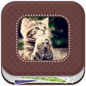 Gallery 3D 1.0.1