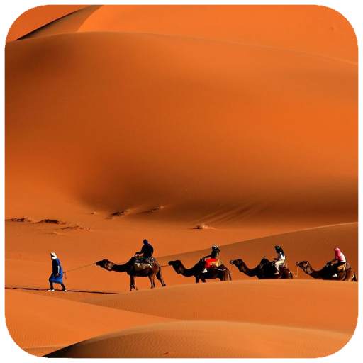 Desert HD Wallpaper 1.08
