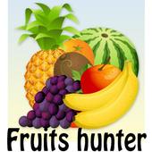 Fruits Hunter icon