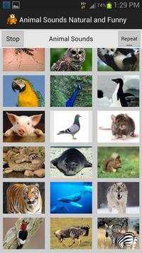 Funny Animal Sounds screenshot 2