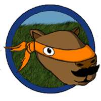 Run Capivara Run