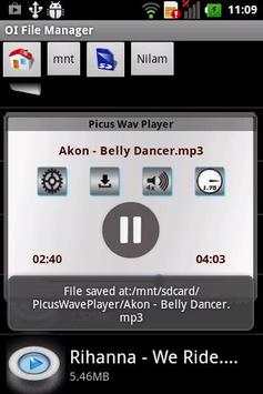 Picus Wav Player Trial screenshot 6