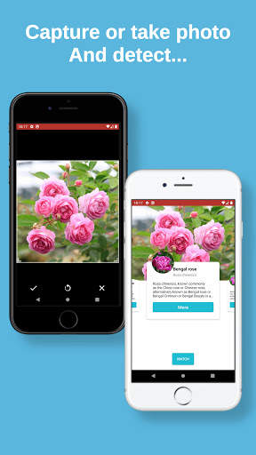 plant finder: plant, flower, fruit identification screenshot 4