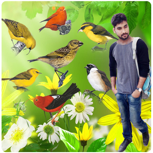 Birds Photo Frames icon
