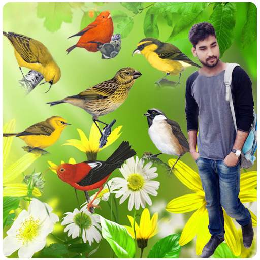Birds Photo Frames स्क्रीनशॉट 3