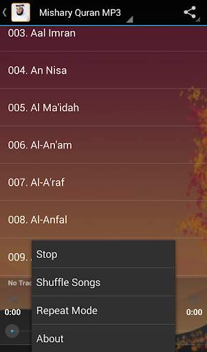 Listen Quran  (OFFLİNE) screenshot 4