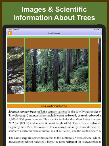Forest Tree Identification скриншот 12