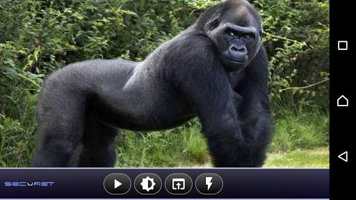 SECuRET ProCam DEMO screenshot 3