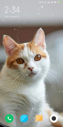 Cat Live Wallpaper screenshot 7