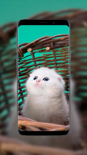 Cute Wallpapers screenshot 3
