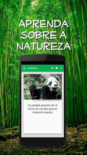 Curiosidades Animais Incríveis screenshot 2