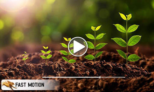 Slow Motion Video Editor – Movie Effect screenshot 3