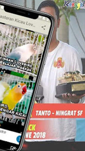 Training Kicau Lovebird Masteran Offline screenshot 2