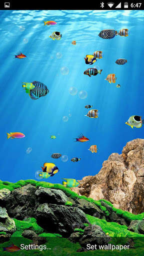 Aquarium Live Wallpaper Touch screenshot 2