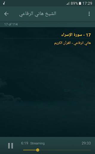 القران الكريم كامل بصوت الشيخ هاني الرفاعي screenshot 3