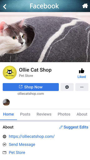 Cat Shop screenshot 1