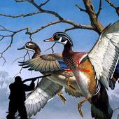 Siberian Birds Hunting आइकन