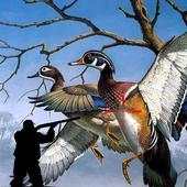Siberian Birds Hunting 1.0