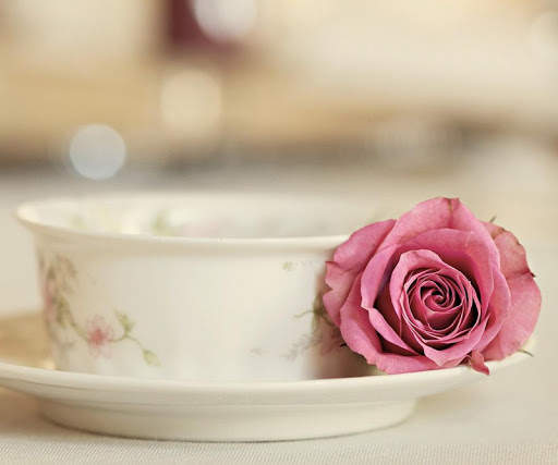 Pink Rose Wallpapers screenshot 5