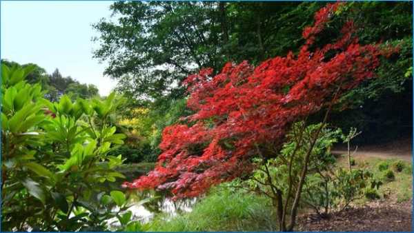 Nature Nice Wallpapers screenshot 4