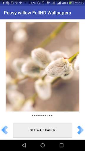Pussy willow FullHD Wallpapers screenshot 8