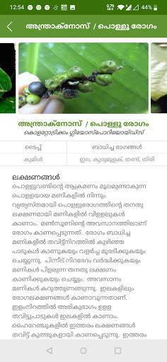 INDIAN PEPPER FARMERS APP - IPC screenshot 3