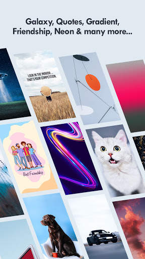 Wallpapers for WhatsApp Chat screenshot 8
