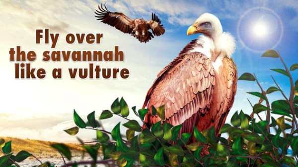 Vulture Simulator 3D - Scavenger Bird Hunting Sim screenshot 1