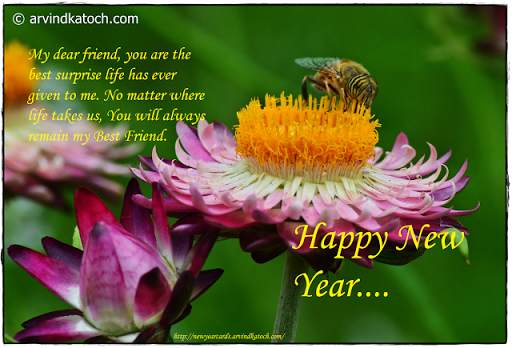 True Pic New Year Cards (2020) screenshot 7
