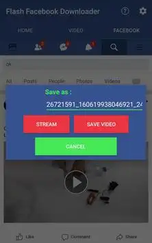 Flash FB Video Download And Easy Use screenshot 3
