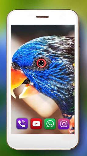 Tropic Parrot Live Wallpaper screenshot 7