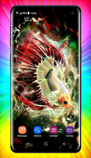 Betta Fish Wallpaper screenshot 7